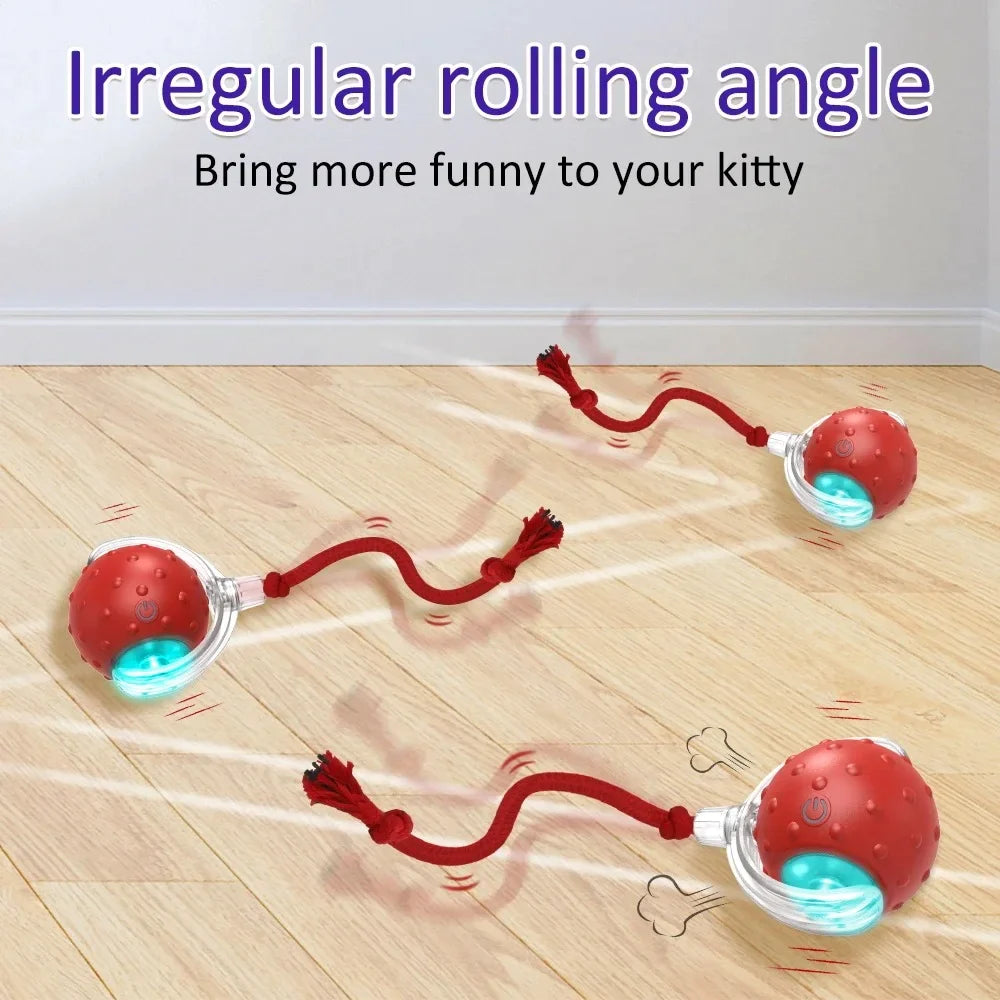 Random Rolling Ball Pet Toys