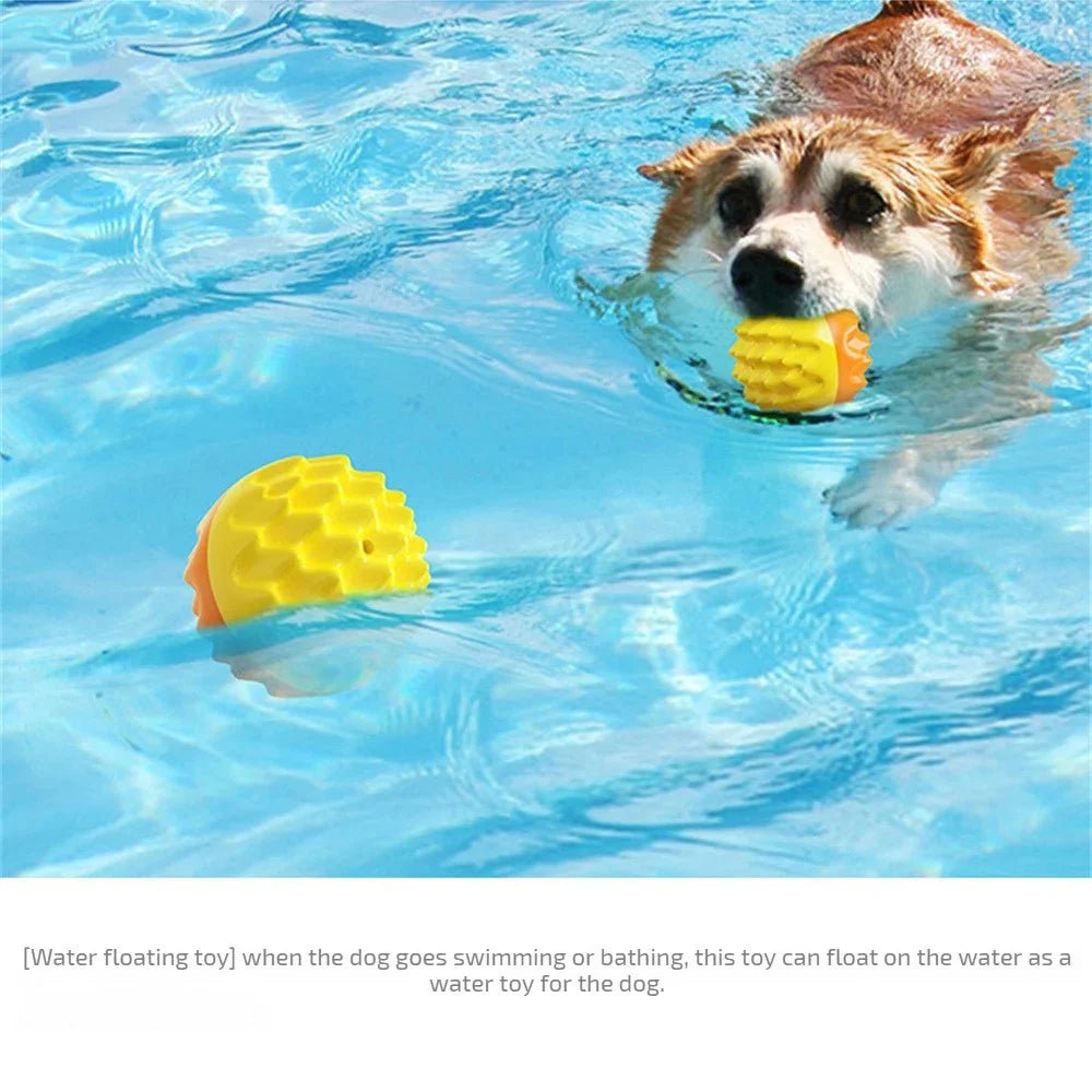 Pet Teeth Chewing Toy
