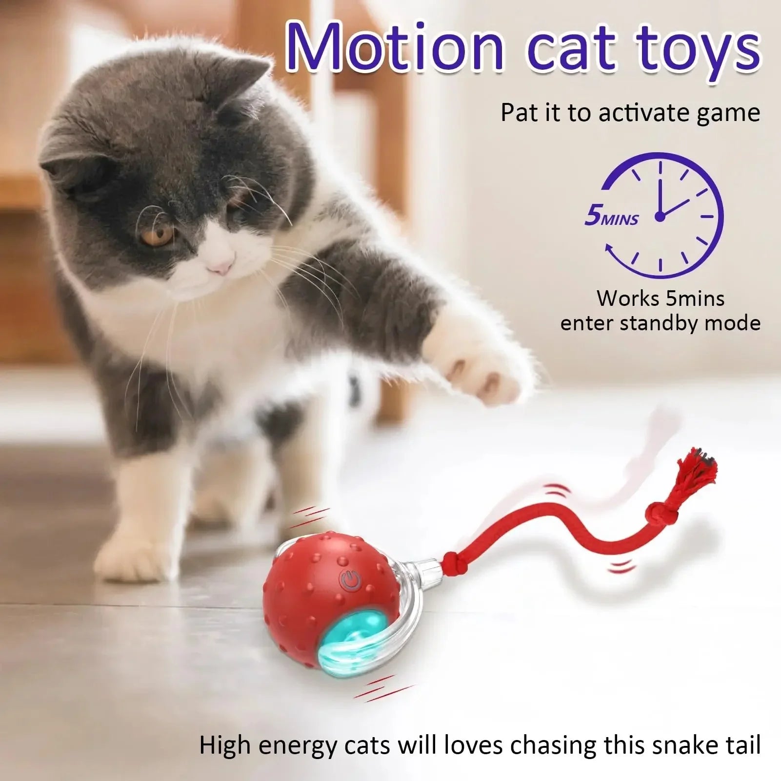 Random Rolling Ball Pet Toys